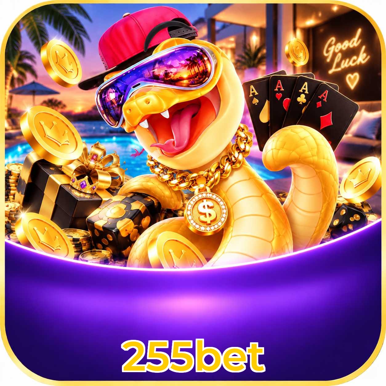255bet Performance