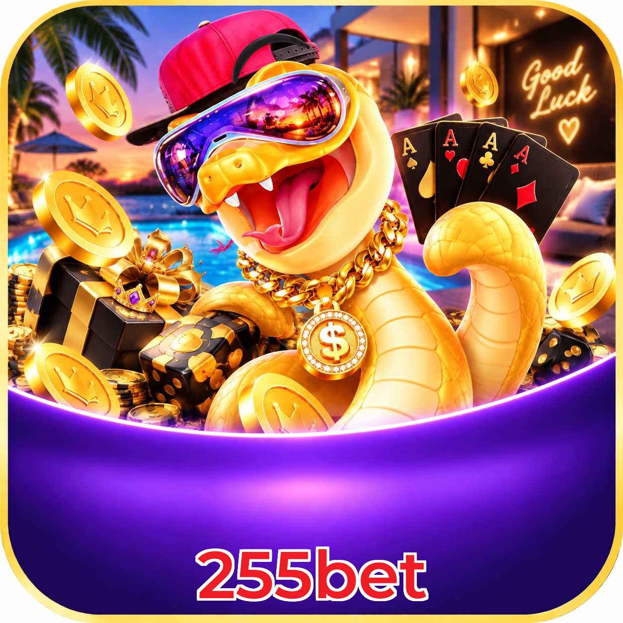255bet Top Wins